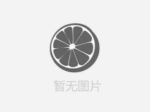 【人人講安全，個個會應(yīng)急——暢通生命通道 】河南鴻宸積極參加安陽市2024年“安全宣傳咨詢?nèi)铡被顒? style=