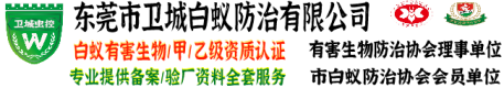 �|ݸ��ρ����